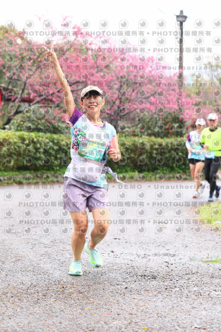 2026左岸竹東櫻花馬拉松Zhudong Sakura Marathon