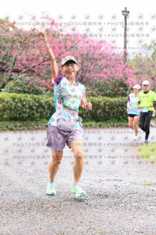 2026左岸竹東櫻花馬拉松Zhudong Sakura Marathon