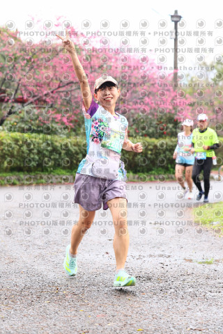 2026左岸竹東櫻花馬拉松Zhudong Sakura Marathon