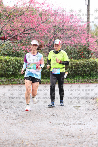 2026左岸竹東櫻花馬拉松Zhudong Sakura Marathon