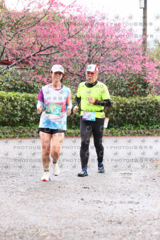 2026左岸竹東櫻花馬拉松Zhudong Sakura Marathon