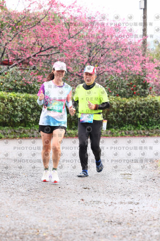 2026左岸竹東櫻花馬拉松Zhudong Sakura Marathon