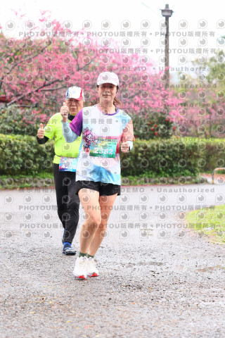 2026左岸竹東櫻花馬拉松Zhudong Sakura Marathon