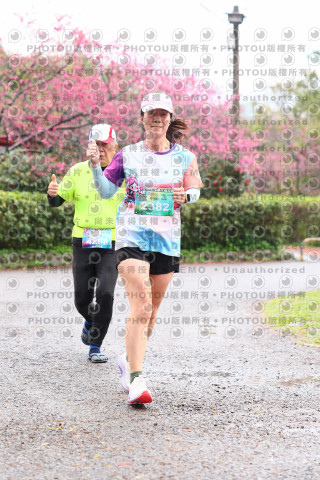 2026左岸竹東櫻花馬拉松Zhudong Sakura Marathon