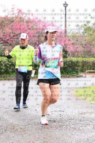 2026左岸竹東櫻花馬拉松Zhudong Sakura Marathon