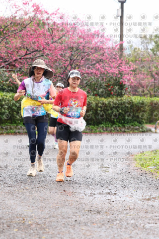 2026左岸竹東櫻花馬拉松Zhudong Sakura Marathon