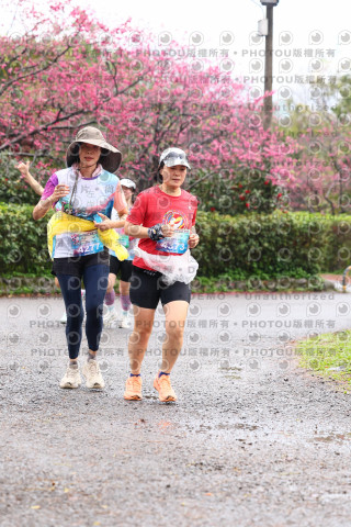 2026左岸竹東櫻花馬拉松Zhudong Sakura Marathon