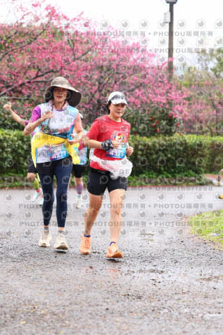 2026左岸竹東櫻花馬拉松Zhudong Sakura Marathon