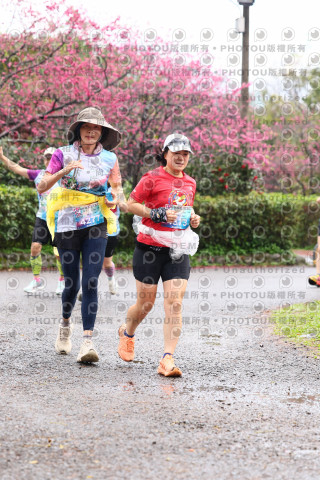 2026左岸竹東櫻花馬拉松Zhudong Sakura Marathon