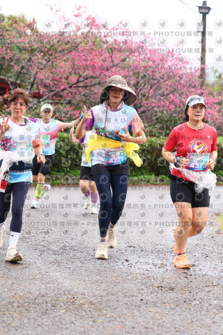 2026左岸竹東櫻花馬拉松Zhudong Sakura Marathon