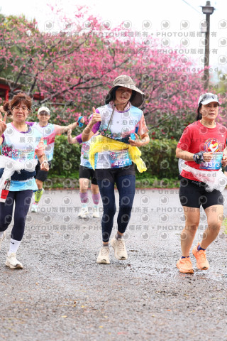 2026左岸竹東櫻花馬拉松Zhudong Sakura Marathon