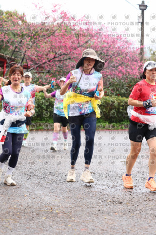 2026左岸竹東櫻花馬拉松Zhudong Sakura Marathon