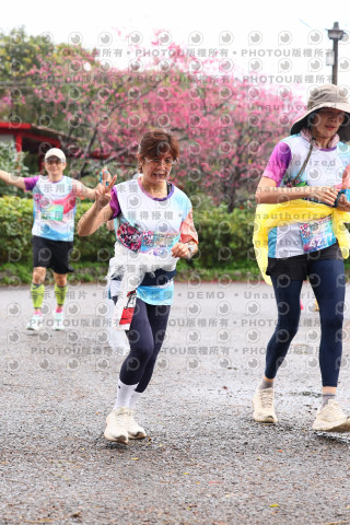 2026左岸竹東櫻花馬拉松Zhudong Sakura Marathon