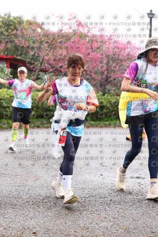 2026左岸竹東櫻花馬拉松Zhudong Sakura Marathon