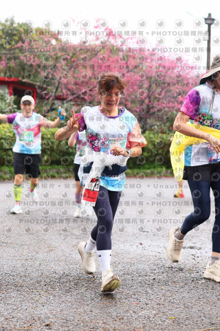 2026左岸竹東櫻花馬拉松Zhudong Sakura Marathon