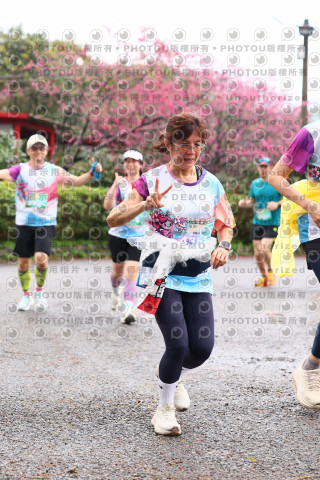 2026左岸竹東櫻花馬拉松Zhudong Sakura Marathon