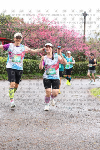 2026左岸竹東櫻花馬拉松Zhudong Sakura Marathon
