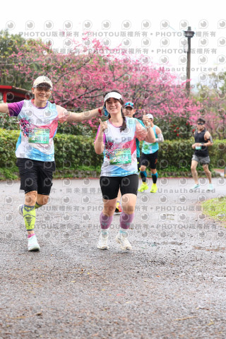 2026左岸竹東櫻花馬拉松Zhudong Sakura Marathon