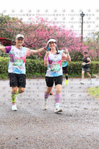 2026左岸竹東櫻花馬拉松Zhudong Sakura Marathon