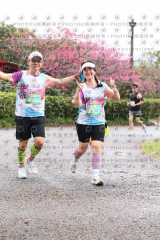 2026左岸竹東櫻花馬拉松Zhudong Sakura Marathon