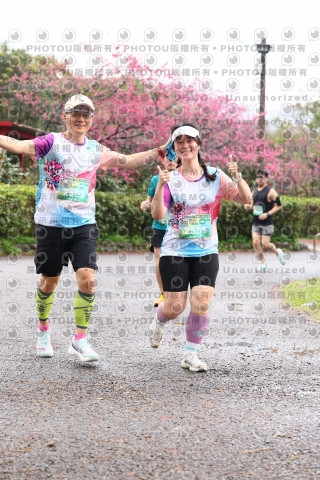 2026左岸竹東櫻花馬拉松Zhudong Sakura Marathon