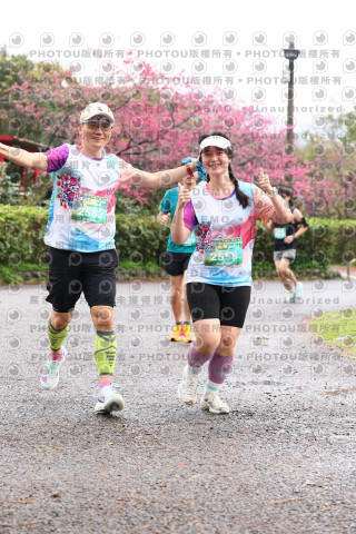 2026左岸竹東櫻花馬拉松Zhudong Sakura Marathon
