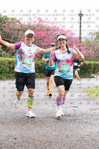 2026左岸竹東櫻花馬拉松Zhudong Sakura Marathon