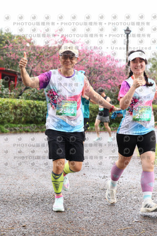 2026左岸竹東櫻花馬拉松Zhudong Sakura Marathon