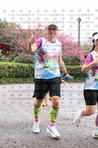 2026左岸竹東櫻花馬拉松Zhudong Sakura Marathon