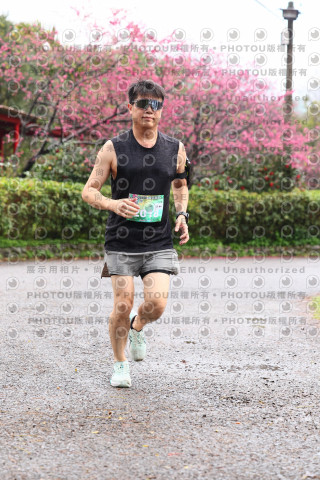 2026左岸竹東櫻花馬拉松Zhudong Sakura Marathon