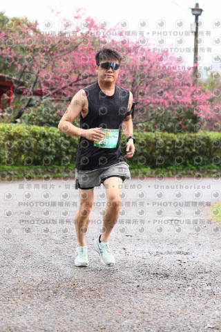 2026左岸竹東櫻花馬拉松Zhudong Sakura Marathon