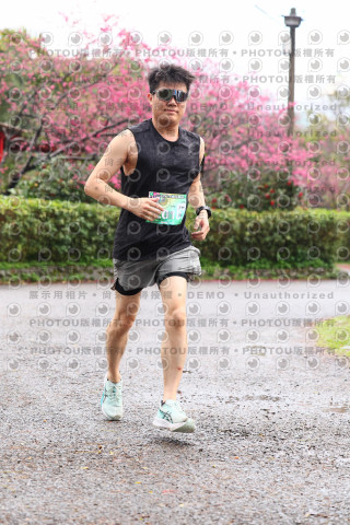 2026左岸竹東櫻花馬拉松Zhudong Sakura Marathon