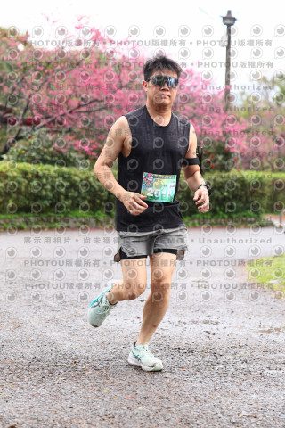 2026左岸竹東櫻花馬拉松Zhudong Sakura Marathon