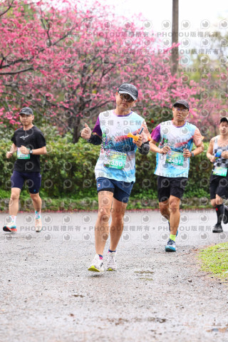 2026左岸竹東櫻花馬拉松Zhudong Sakura Marathon
