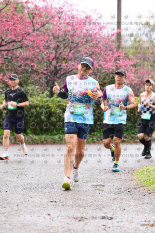 2026左岸竹東櫻花馬拉松Zhudong Sakura Marathon
