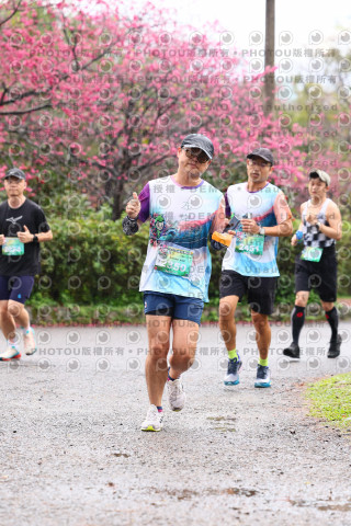 2026左岸竹東櫻花馬拉松Zhudong Sakura Marathon