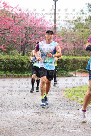 2026左岸竹東櫻花馬拉松Zhudong Sakura Marathon