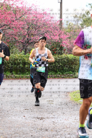 2026左岸竹東櫻花馬拉松Zhudong Sakura Marathon