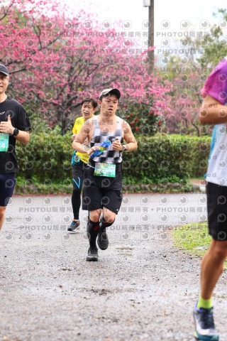2026左岸竹東櫻花馬拉松Zhudong Sakura Marathon