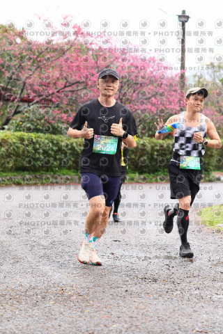 2026左岸竹東櫻花馬拉松Zhudong Sakura Marathon