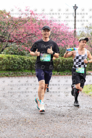 2026左岸竹東櫻花馬拉松Zhudong Sakura Marathon