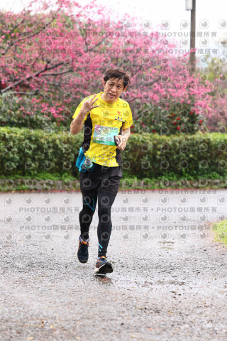 2026左岸竹東櫻花馬拉松Zhudong Sakura Marathon