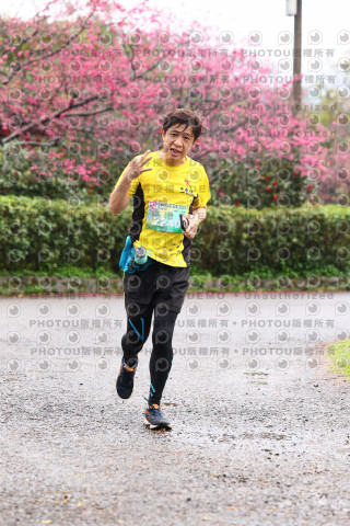 2026左岸竹東櫻花馬拉松Zhudong Sakura Marathon