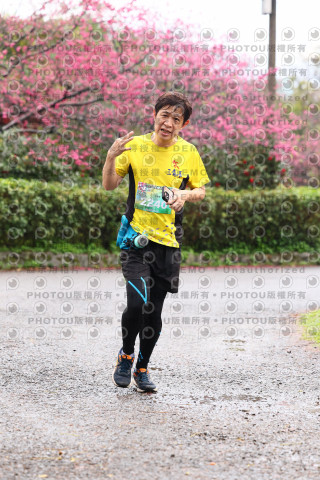 2026左岸竹東櫻花馬拉松Zhudong Sakura Marathon