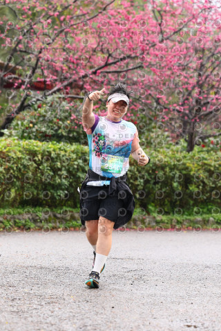 2026左岸竹東櫻花馬拉松Zhudong Sakura Marathon