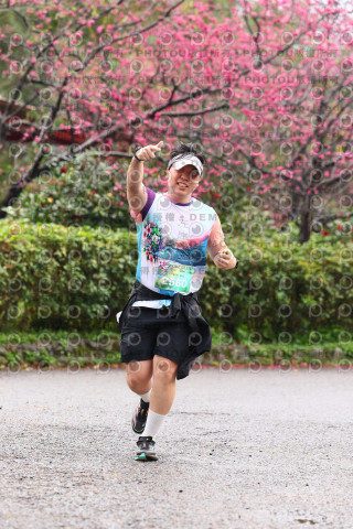 2026左岸竹東櫻花馬拉松Zhudong Sakura Marathon
