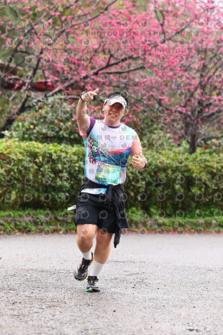 2026左岸竹東櫻花馬拉松Zhudong Sakura Marathon