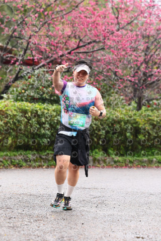 2026左岸竹東櫻花馬拉松Zhudong Sakura Marathon