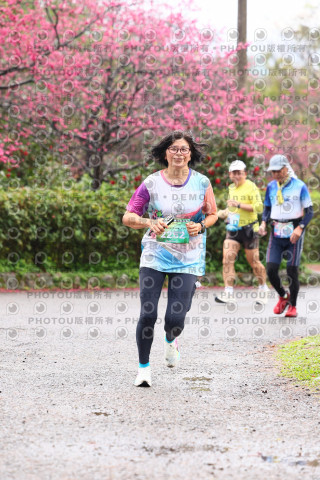 2026左岸竹東櫻花馬拉松Zhudong Sakura Marathon