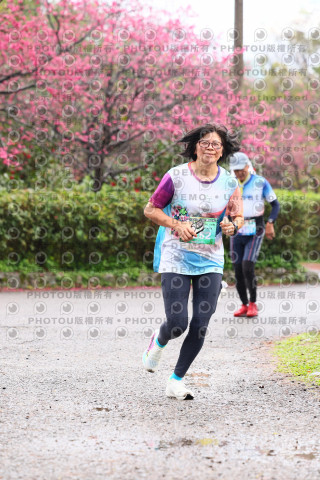 2026左岸竹東櫻花馬拉松Zhudong Sakura Marathon